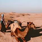 Agafay Desert & Sunset Camel Ride From Marrakech at Hôtel Restaurant Café de France, Marrakesh, Morocco