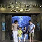 Aquaventure Waterpark + Lost Chambers Aquarium at Aquaventure Waterpark, Dubai, United Arab Emirates