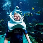 Dubai Atlantis: Aquaventure Waterpark + Shark Safari or Snorkel Experience at Aquaventure Waterpark