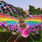 Dubai Butterfly Garden: Skip The Line at Dubai Butterfly Garden