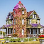 Dubai Miracle Garden at Dubai Miracle Garden