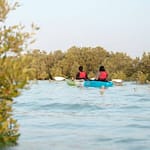 Guided Kayak Tour in the Mangroves at Sea Hawk Water Sports & Adventures - Eastern Mangroves