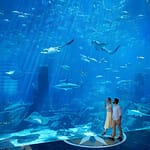 Skip the Line: Lost Chambers Entry at Atlantis The Palm Ticket at The Lost Chambers Aquarium