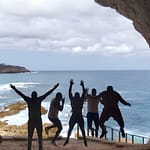 Tour from Cape Town to penguin Beach