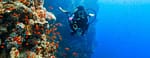 Diving Experience in Khasab – Outdoor Attractions