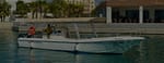 Explore the Marine World Fishing Trip – Top-Rated Attractions
