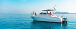 Fishing Trip Boat Tour – Boat Tours and Cruises