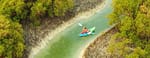 Guided Kayak Tour in the Reem Central Park Mangroves – Water Sports