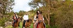 Horse Riding Experience – Recently Added Experiences