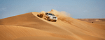 Liwa Adventure: A Desert Safari Delight with Authentic Local Lunch – Desert safaris