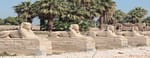 Luxor day trip from Sharm El Sheikh including flights – Sightseeing and Tours