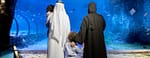 The National Aquarium Abu Dhabi – Experiences