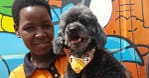 Basic Or Full Grooming At Pet Corner Dubai