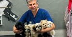 Cat And Dog Check Up And Vaccinations Dubai