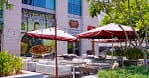 Enjoy One Or Two Classic Or Premium 12-Inch Or 16-Inch Pizzas Dubai