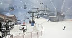 Escape The Heat At Ski Dubai With Unforgettable Snow Adventures! Dubai