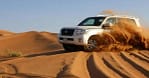 Experience A Desert Safari Adventure With Basic Or Vip Perks! Sharjah & N. Emirates
