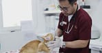 Fluff & Shine: Treat Your Pet To Luxury! Dubai