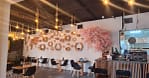 Indulge In All-You-Can-Eat Sushi And Ramen! Abu Dhabi