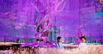 Up To 8% Off On At Peace Land Travel And Tourism Dubai