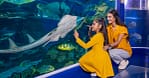 Up To 8% Off On At Peace Land Travel And Tourism Dubai