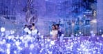 Up To 8% Off On At Peace Land Travel And Tourism Dubai