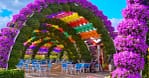 Up To 8% Off On At Peace Land Travel And Tourism Dubai