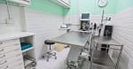 Veterinary Examination At Pet Connection Veterinary Clinic Dubai