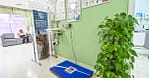 Veterinary Examination At Pet Connection Veterinary Clinic Dubai