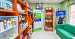 Veterinary Examination At Pet Connection Veterinary Clinic Dubai