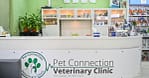 Veterinary Examination At Pet Connection Veterinary Clinic Dubai