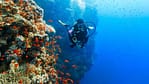 Diving Experience in Khasab – Outdoor Attractions
