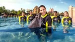 Dolphin Bay Experiences at Atlantis The Palm – Water Parks