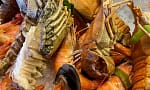 5* Seafood Theme Night Buffet W/Beverage For A Child Or Up To 4 Adults Abu Dhabi