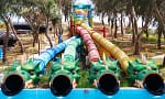 Dive Into Adventure: Full Day Admission Dubai