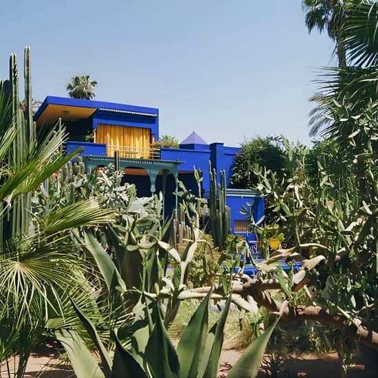 Majorelle Garden Berber and Yves Saint Laurent Museum Entry at Jardin Majorelle, Marrakesh, Morocco