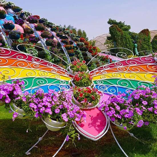 Dubai Butterfly Garden: Skip The Line at Dubai Butterfly Garden