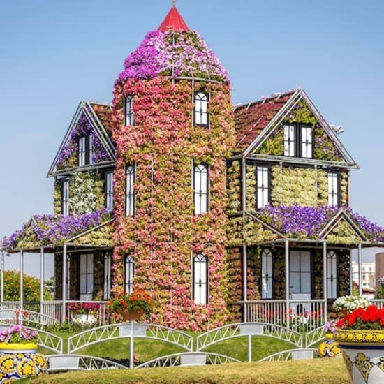 Dubai Miracle Garden at Dubai Miracle Garden