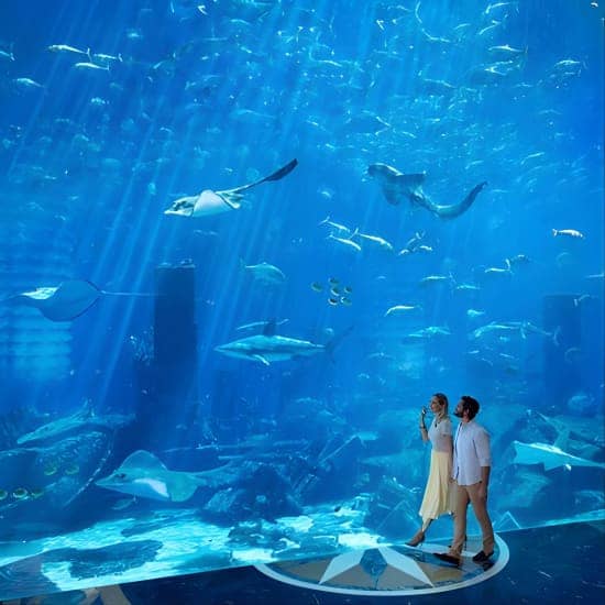 Skip the Line: Lost Chambers Entry at Atlantis The Palm Ticket at The Lost Chambers Aquarium