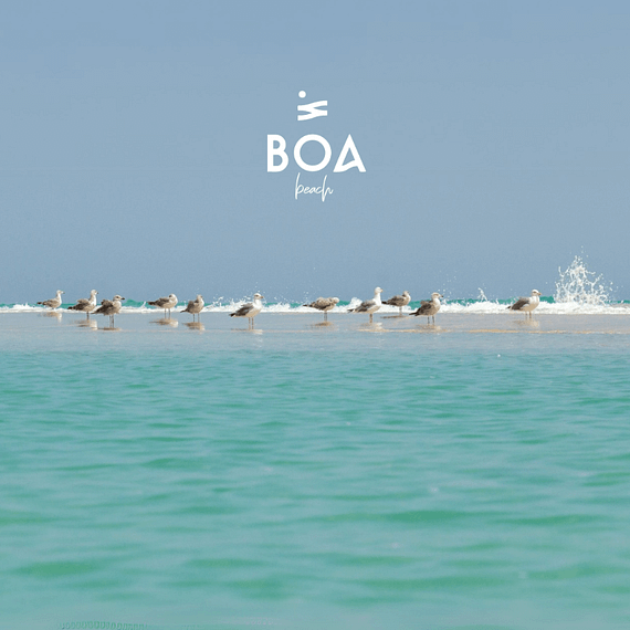 BOA The Beach in Jeddah Nightlife