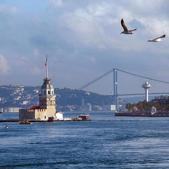 Istanbul: Full Day Cruise on the Bosphorus & Black Sea with Lunch Boat Tours and Cruises