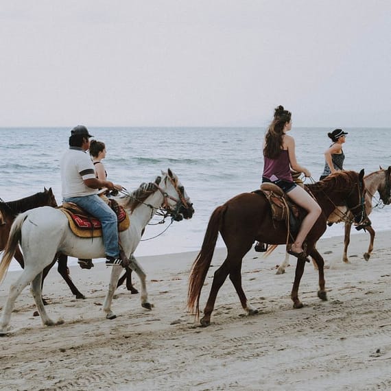 Horse Riding in Jeddah Experiences