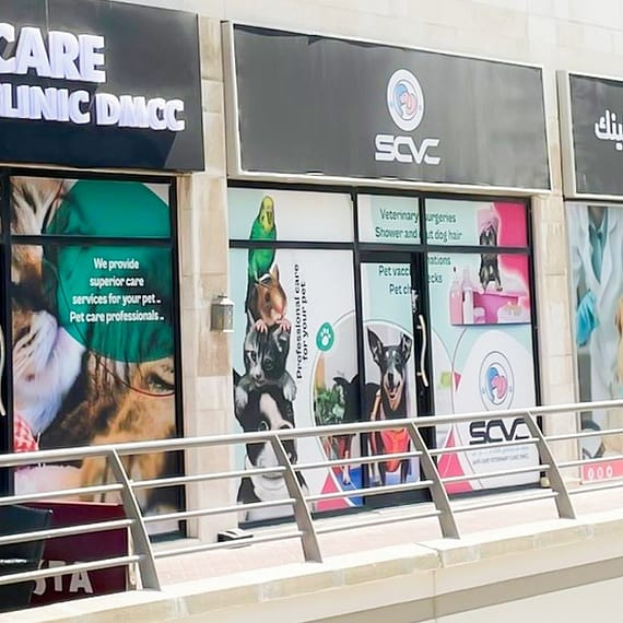 Cat And Dog Check Up And Vaccinations Dubai