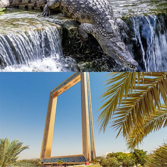 Crocodile Park Special Offer Combos - Upto 30% OFF Attractions Special Offers