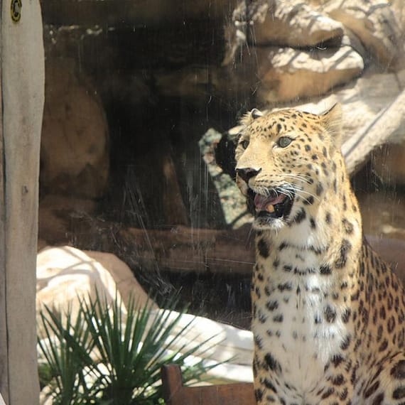 Emirates Park Zoo Experiences