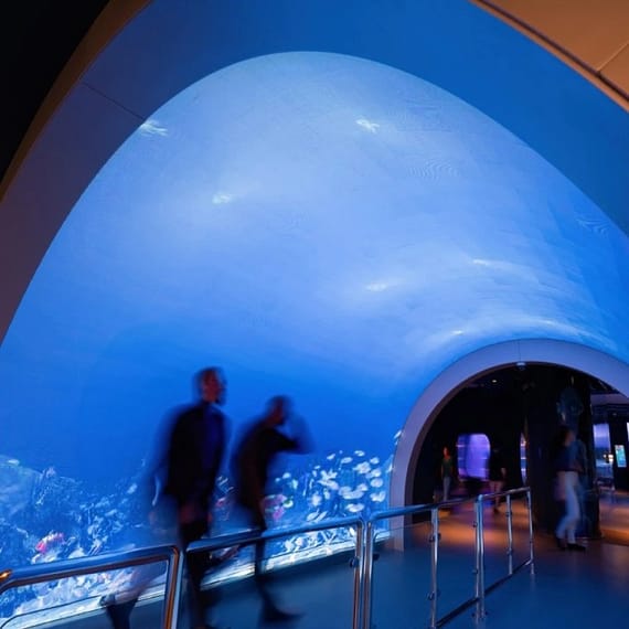 Marassi Aquarium & Underwater Zoo Tickets Top-Rated Attractions