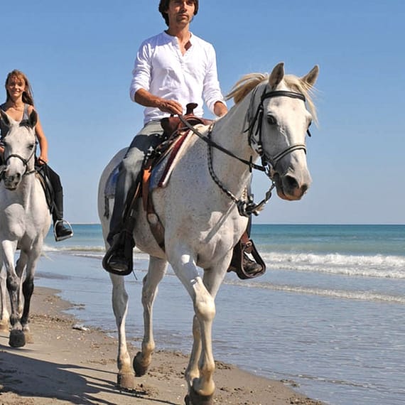One Hour Beach Horse Riding Experiences At Al Sultan Equestrian Club Abu Dhabi