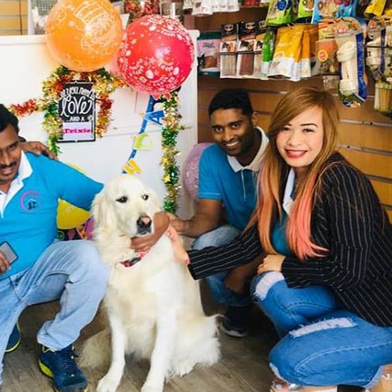 Pet Boarding Dubai