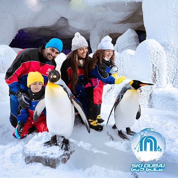 Ski Dubai: Snow Premium with Penguin Encounter + Free Al Shindagha Museum Ticket Must-see attractions