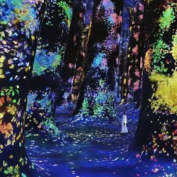 TeamLab Phenomena Abu Dhabi Museums